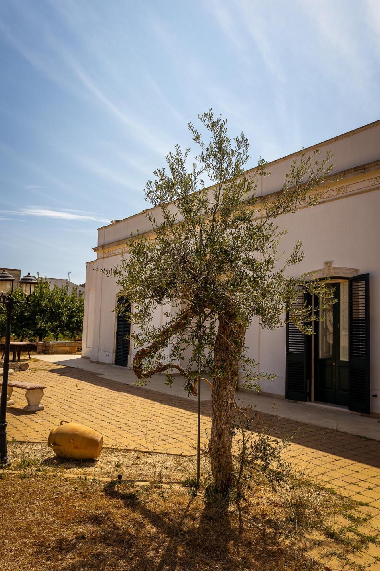 Affittacamere Giardino Delle Zie-Vicino Ospedale Cardinale Panico Tricase Eksteriør billede